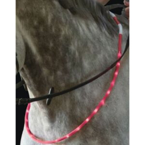 Flashing LED Equine Neck / Rein Collar