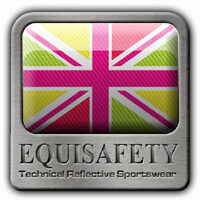 Equisafety